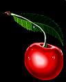 fruit (10)